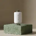 module c background.webp