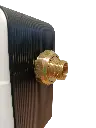 module b nuts.webp